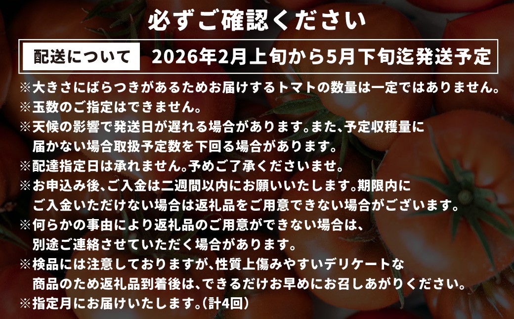 【年4回定期便】たかしまフルーティトマトの小箱コース