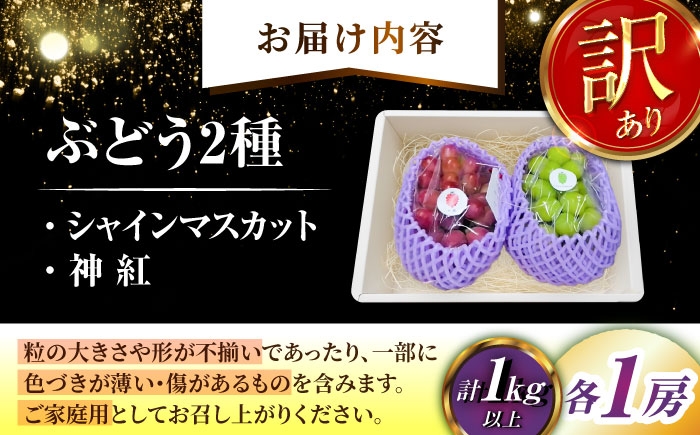 フルーツ 果物 ぶどう セット 食べ比べ 家庭用 訳あり