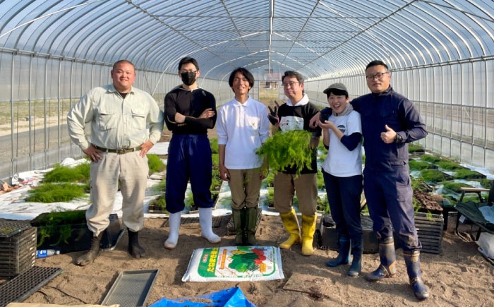 アスパラ アスパラガス グリーンアスパラガス 季節の野菜 春野菜 先行予約 島根