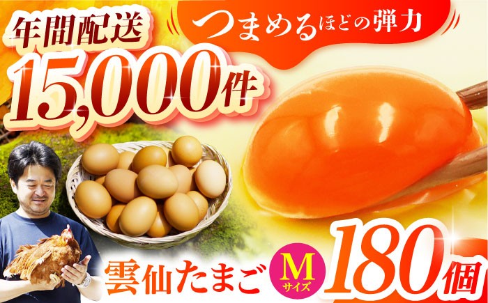 長崎県産 島原市 たまご 卵 玉子 タマゴ 鶏卵 オムレツ 卵かけご飯 朝食 料理 人気 卵焼き 大容量 たっぷり