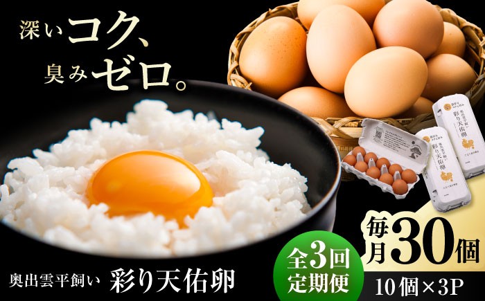 卵 放牧卵 鶏卵 生卵 国産 平飼い 放し飼い 卵焼き 卵かけご飯