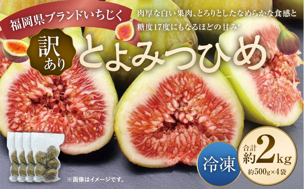 訳あり冷凍いちじく「とよみつひめ」2kg