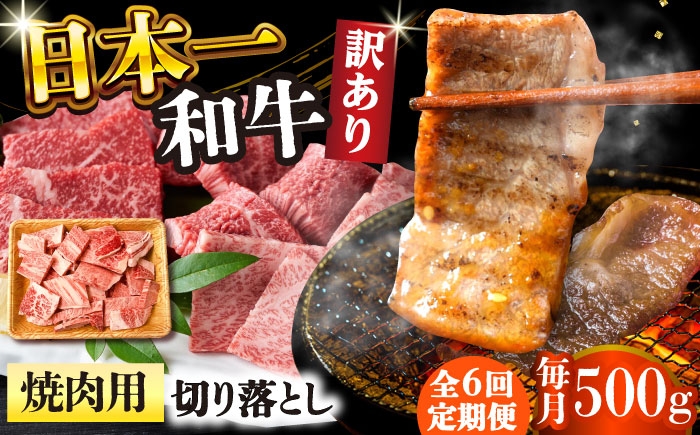 長崎和牛 和牛 国産 牛肉