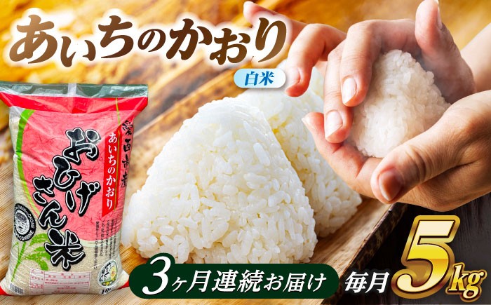 米 お米 5kg 5キロ 定期便 白米 精米 新米 愛知県 国産 あいちのかおり