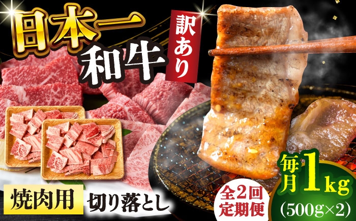 長崎和牛 和牛 国産 牛肉