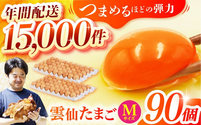 長崎県産 島原市 たまご 卵 玉子 タマゴ 鶏卵 オムレツ 卵かけご飯 朝食 料理 人気 卵焼き 大容量 たっぷり