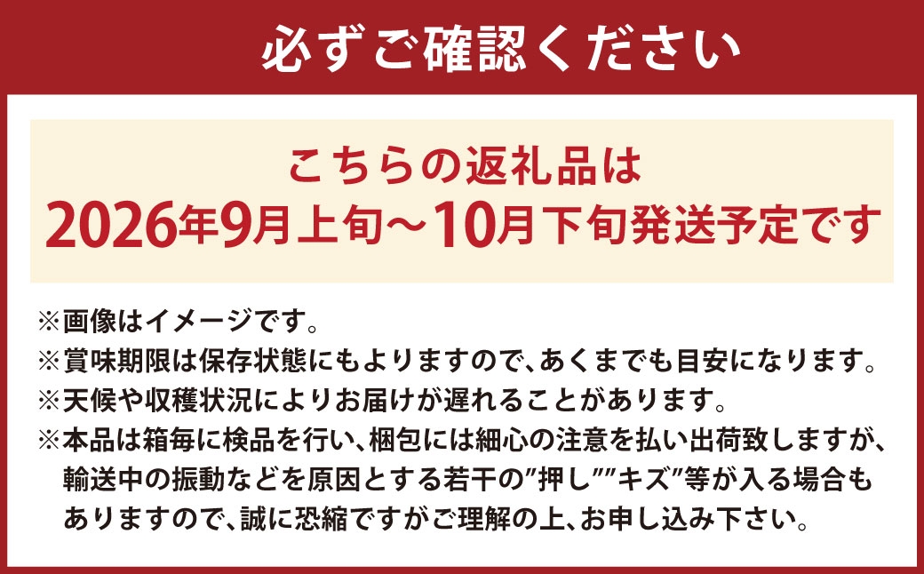 シャインマスカット 晴王 1房 約600g 