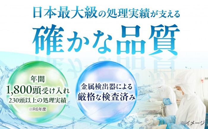 ひき肉 肉 イノシシ ジビエ いのしし ハンバーグ 低カロリー 冷凍
