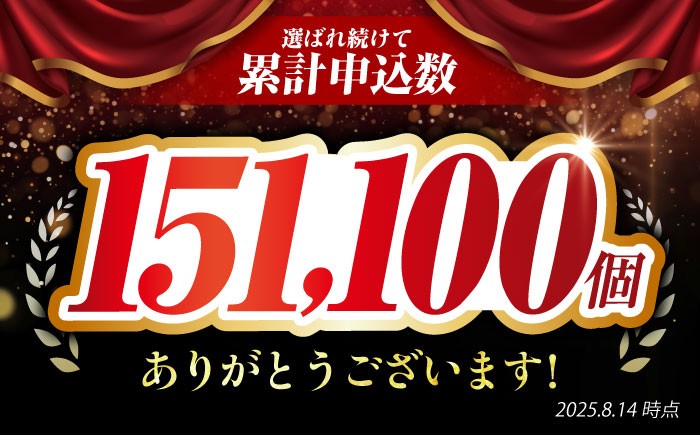 【全3回定期便】老舗の佐賀牛ハンバーグ 佐賀牛 ハンバーグ 牛肉 冷凍 はんばーぐ お惣菜 おかず 小分け 個包装 