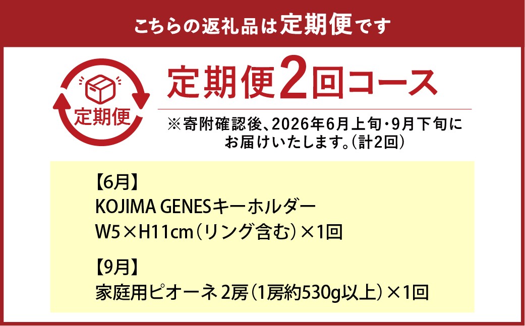 KOJIMA GENESキーホルダー＋家庭用ピオーネ 2房（1房約530g以上）