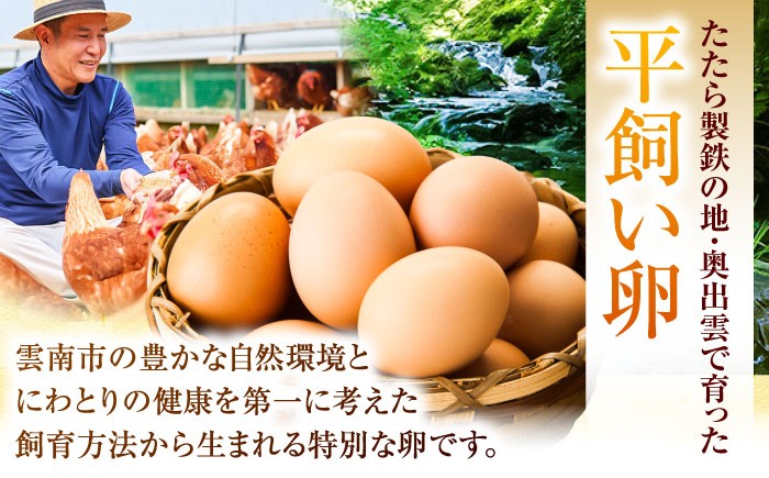卵 放牧卵 鶏卵 生卵 国産 平飼い 放し飼い 卵焼き 卵かけご飯