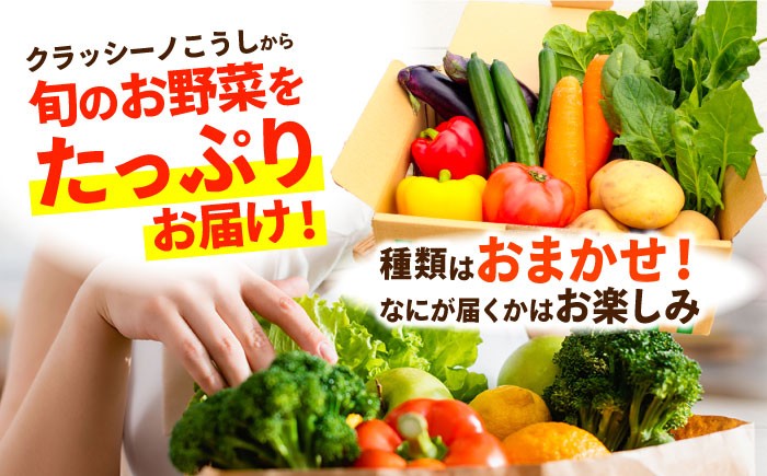 旬のお野菜 セット 10〜12品
