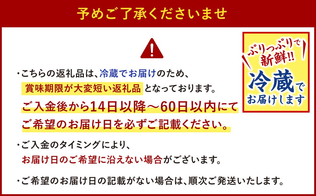 【指定日必須】本場関門とらふぐ刺身・ふぐ鍋セット※白子付(2～3人前)ふく一