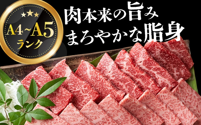 長崎和牛 和牛 国産 牛肉
