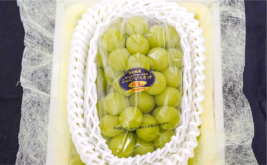 NEWS PAPER BAG（Hicory）＋家庭用晴王 2房（1房約530g以上）