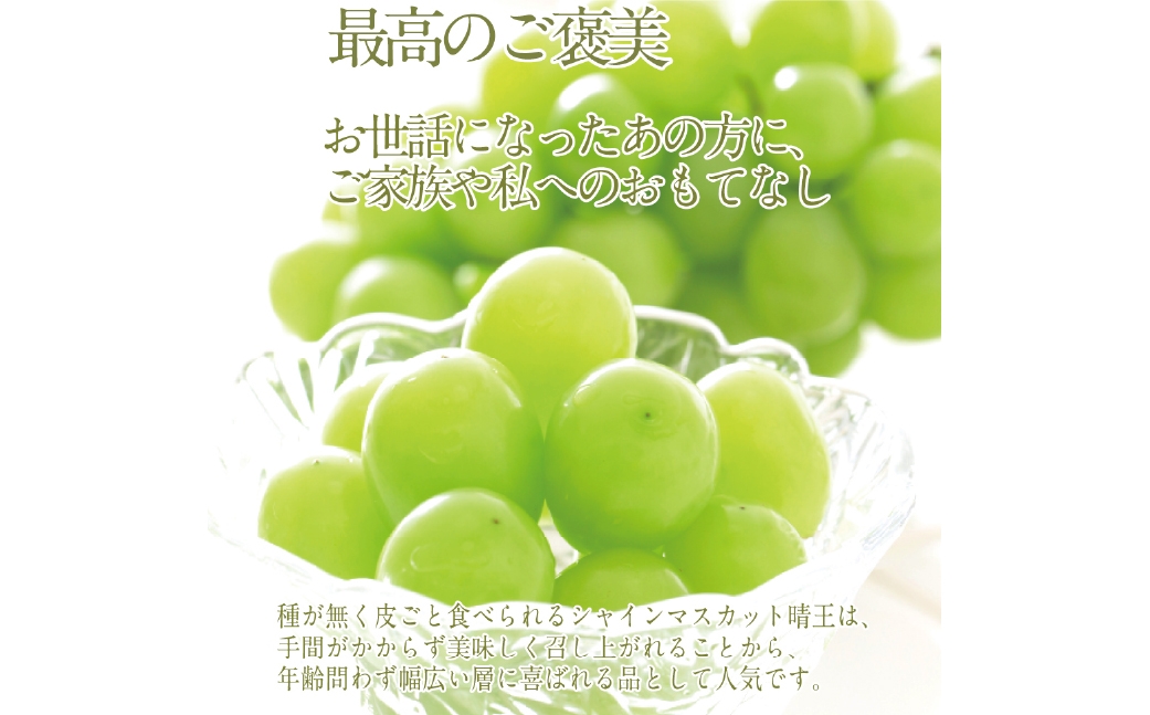  【2回定期便】プレミアム シャインマスカット 晴王 2房約1.4kg