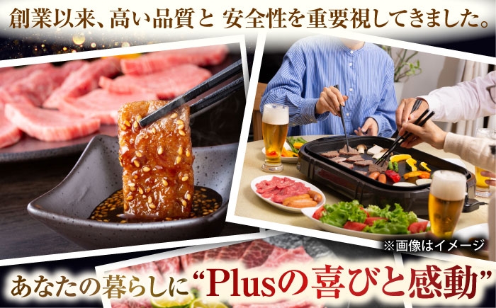冷凍 国産牛 牛肉 ブランド牛 焼き肉 牛肉 肉 お取り寄せ 焼肉 BBQ