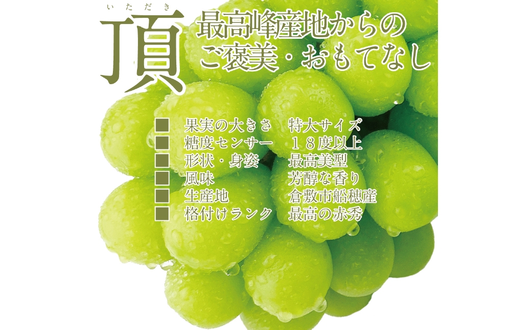  【2回定期便】プレミアム シャインマスカット 晴王 2房約1.4kg