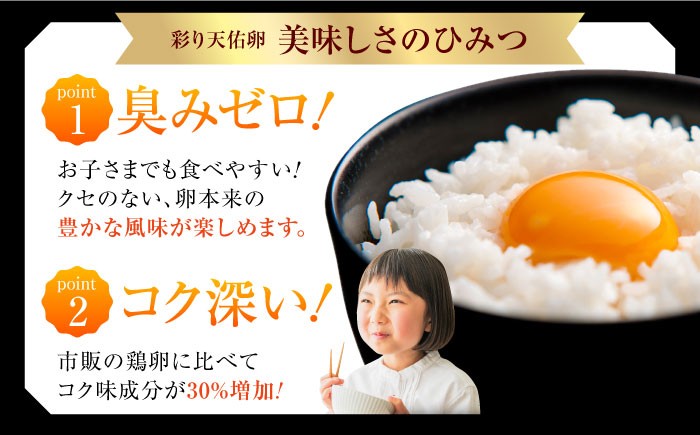 卵 放牧卵 鶏卵 生卵 国産 平飼い 放し飼い 卵焼き 卵かけご飯 お菓子作り