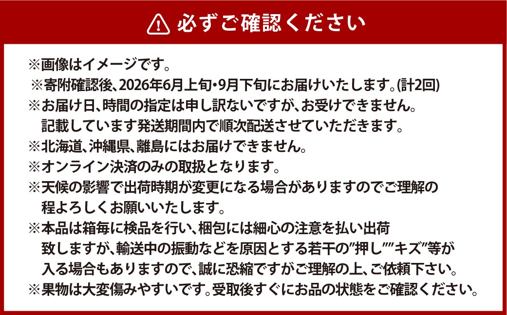 NEWS PAPER BAG（Hicory）＋家庭用晴王 2房（1房約530g以上）