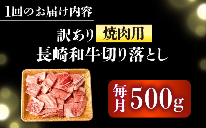 長崎和牛 和牛 国産 牛肉