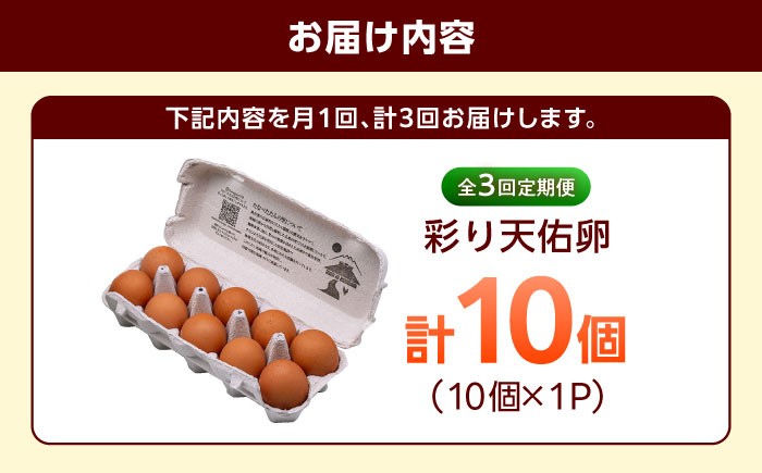 卵 放牧卵 鶏卵 生卵 国産 平飼い 放し飼い 卵焼き 卵かけご飯