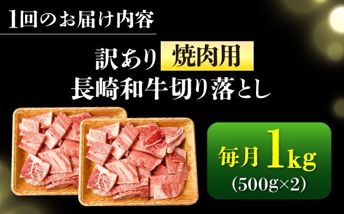 長崎和牛 和牛 国産 牛肉