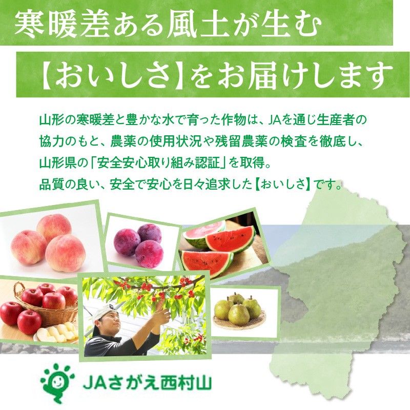 《先行受付》おまかせさくらんぼ フードパック 約1.08kg (180g×6)【2026年6月中旬頃～発送予定】