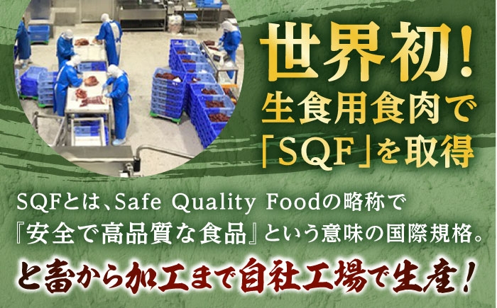 国産 馬刺し 赤身 約400g (80g×4〜6個) 赤身 馬刺し 馬刺しのたれ付き