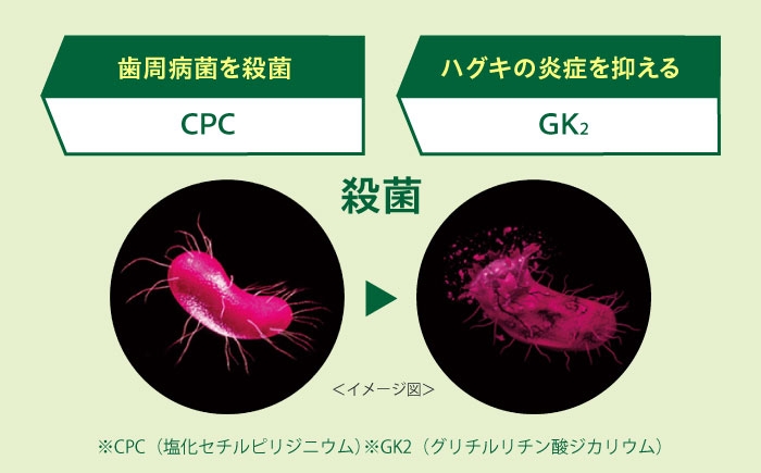 歯磨き粉 はみがき 歯磨き ハミガキ 歯周病 予防 日用品 大容量 知覚過敏