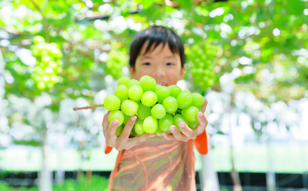 観光農園吉次園の「旬を味わうフルーツ狩りパスポート」