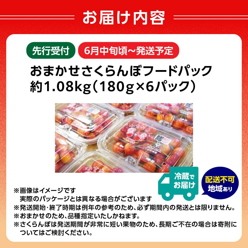 《先行受付》おまかせさくらんぼ フードパック 約1.08kg (180g×6)【2026年6月中旬頃～発送予定】