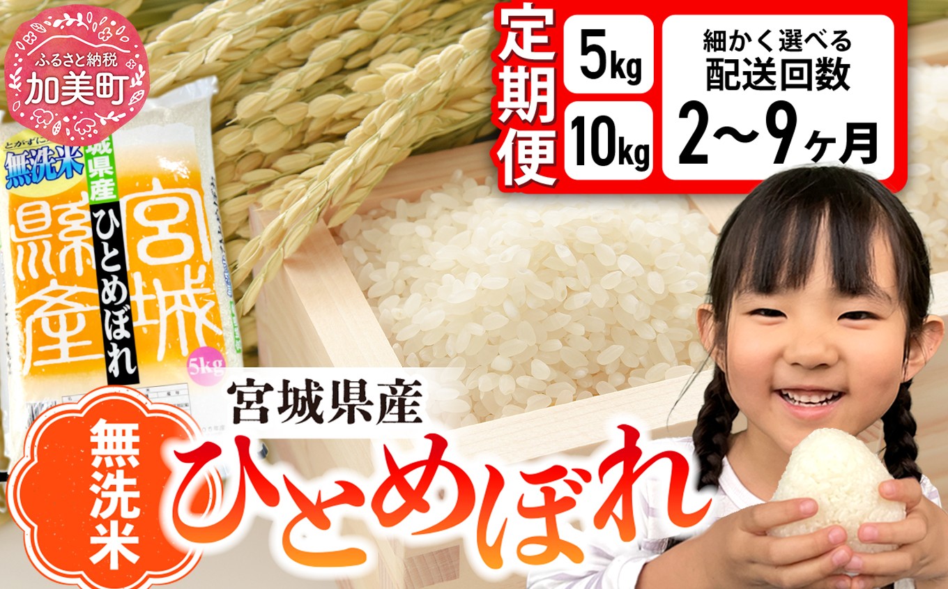 【定期便】無洗米 令和7年度 宮城県産 ひとめぼれ