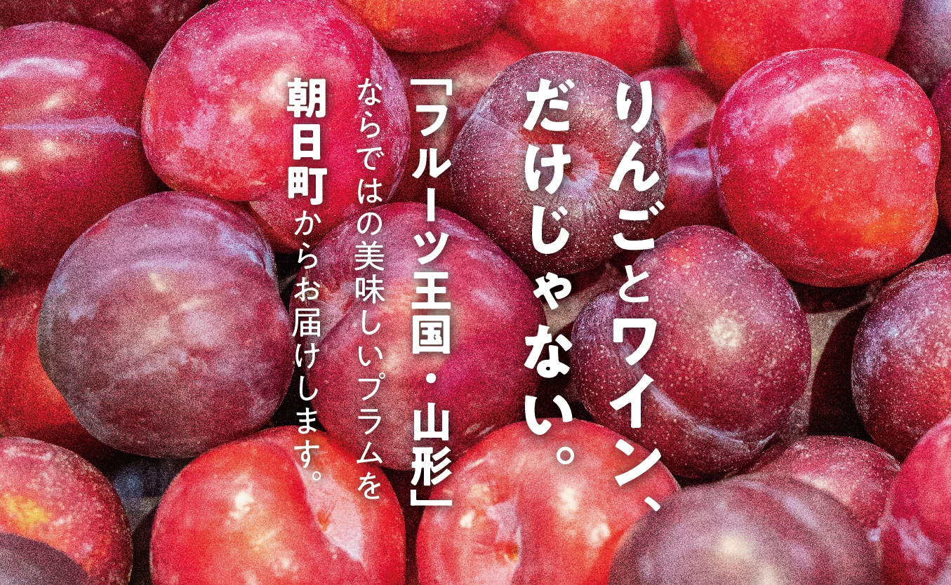 化粧詰めのイメージ　(写真はサンルージュ)