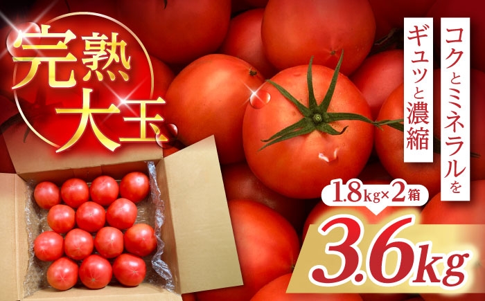 トマト とまと tomato トマトジュース 野菜 やさい サラダ 完熟 甘い 新鮮 フルーツトマト リコピン 産地直送