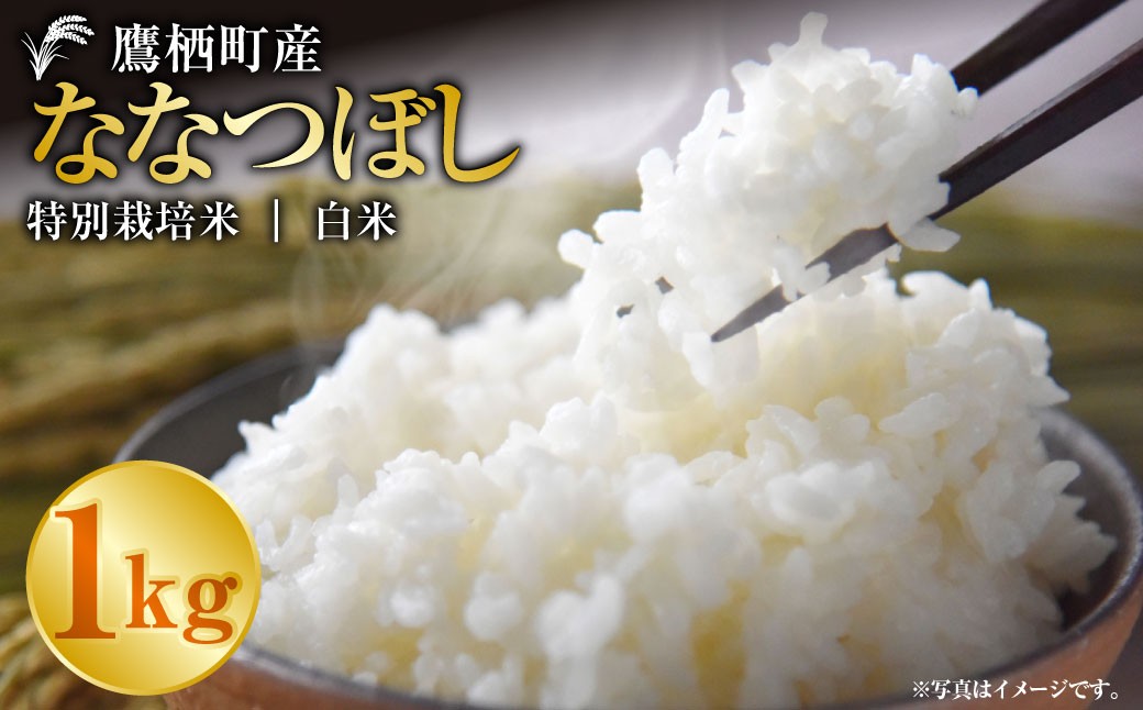 【令和7年産】ななつぼし（白米）1kg