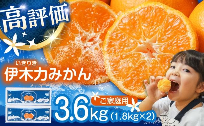 伊木力みかん みかん 蜜柑 ミカン オレンジ 柑橘 果物 フルーツ 冬 こたつ 濃厚 甘い 甘味 ジューシー 果汁 おすすめ
