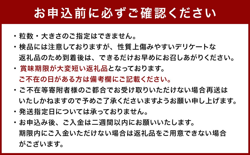 大玉すいか 2玉 L以上 約10kg 【2026年5月上旬～6月下旬発送予定】