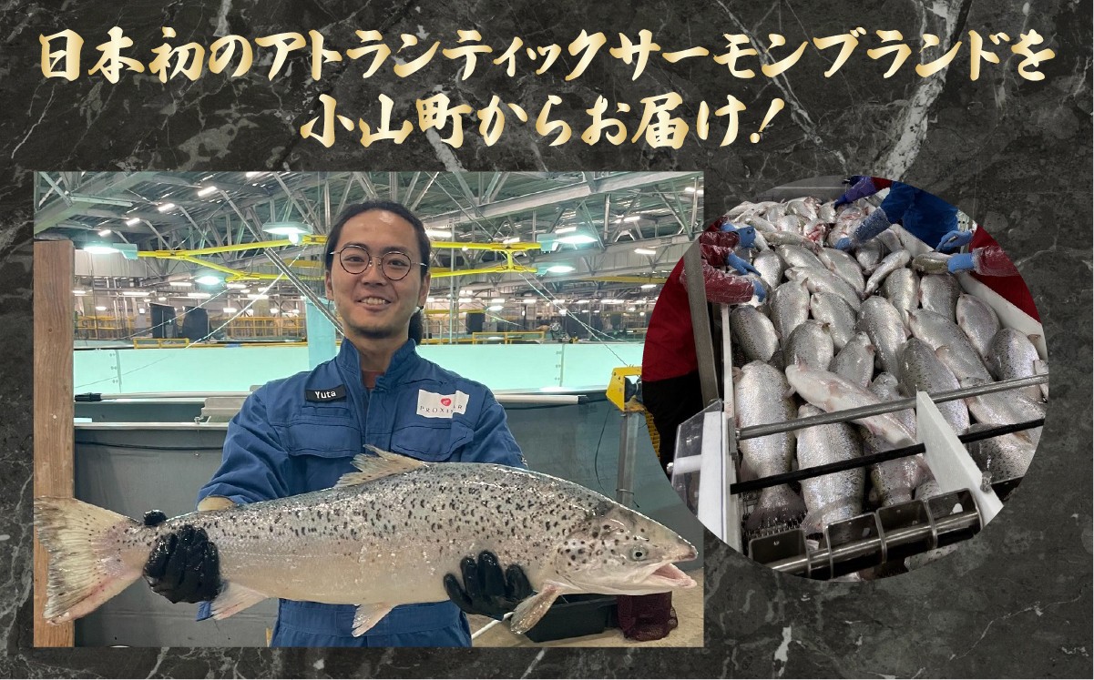 小山町からお届け