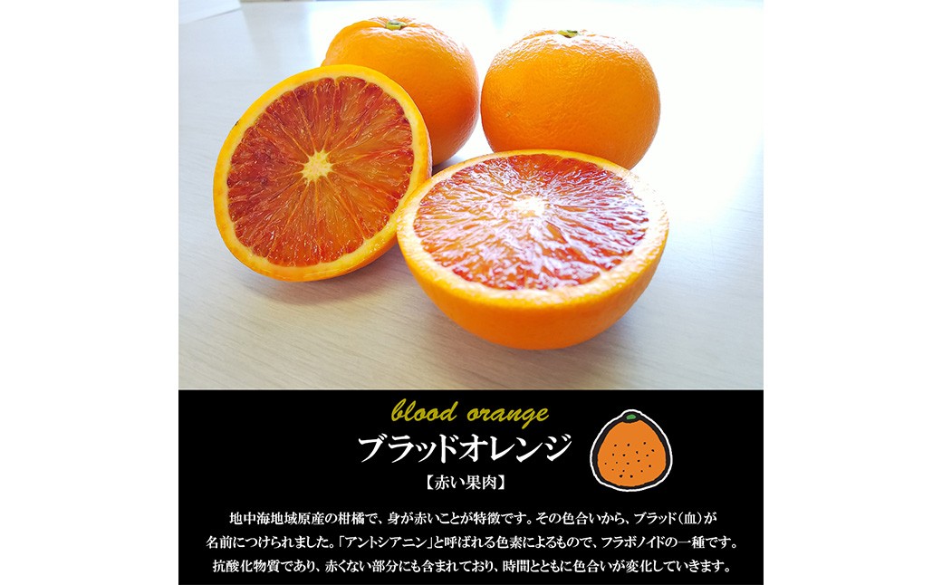 希望の島】 ブラッドオレンジ 特選品 中玉 2kg