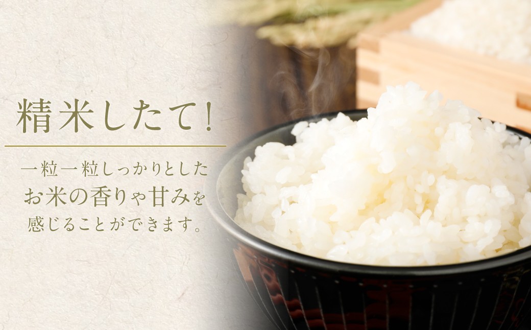 【6回定期便】 筑後の実り 5kg×6回