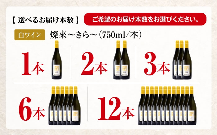 【白ワイン】燦來 きら 750ml×12本 三次市産 ワイン 三次ワイナリー 