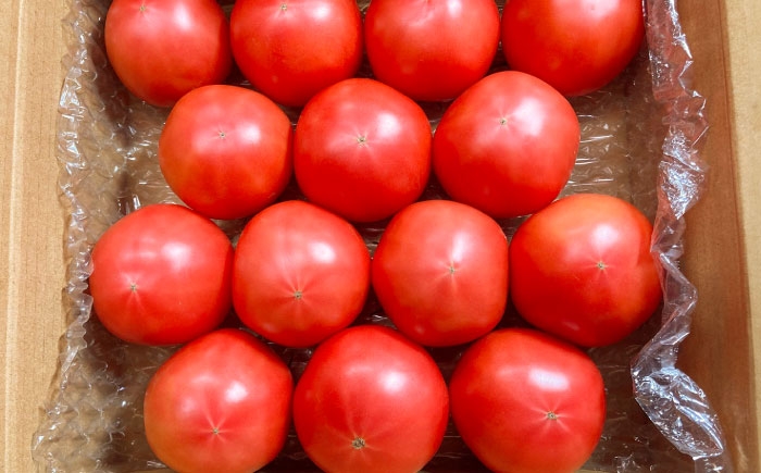 トマト とまと tomato トマトジュース 野菜 やさい サラダ 完熟 甘い 新鮮 フルーツトマト リコピン 産地直送