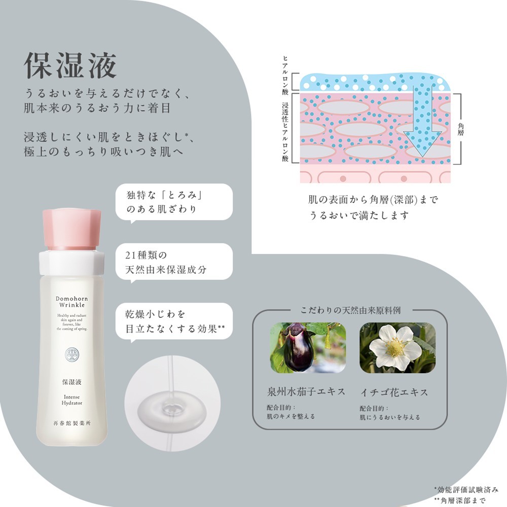 再春館製薬所 ドモホルンリンクル 基礎 セット