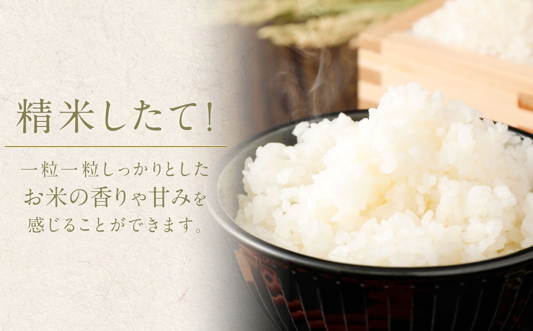 筑後の実り 10kg