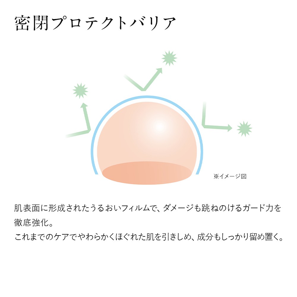 再春館製薬所 ドモホルンリンクル 基礎 セット
