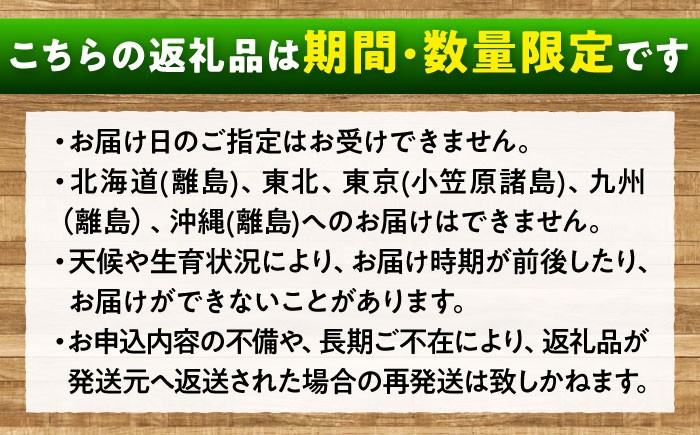 シャインマスカット 2房入り 計1kg