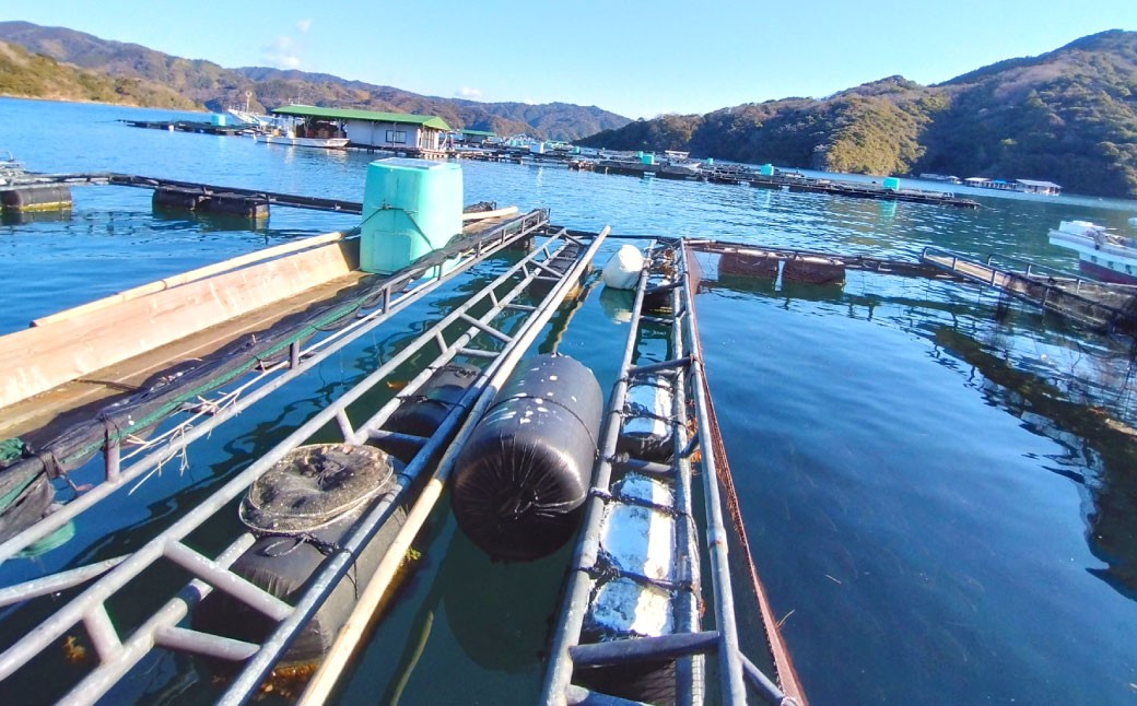 岡山ブランド魚 桃鯛 桃鯛の炙りと漁師秘伝漬け丼セット