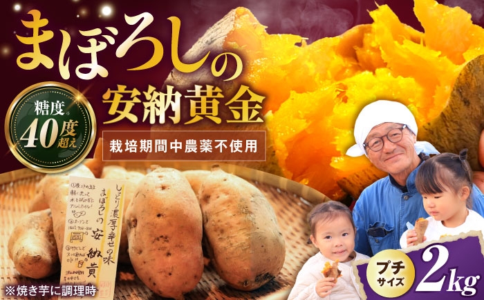 さつまいも サツマイモ さつま芋 焼き芋 やきいも スイーツ 甘い とろとろ 薩摩芋 デザート 甘芋 スイートポテト 芋 イモ