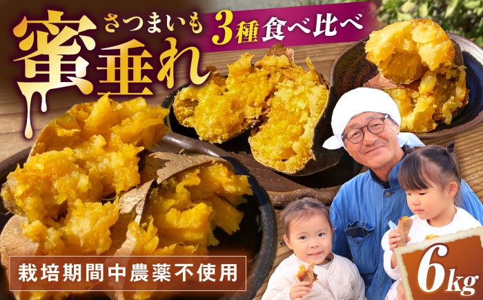 さつまいも サツマイモ さつま芋 焼き芋 やきいも スイーツ 甘い とろとろ 薩摩芋 デザート 甘芋 スイートポテト 芋 イモ